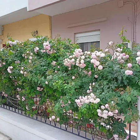 Family House Down Town