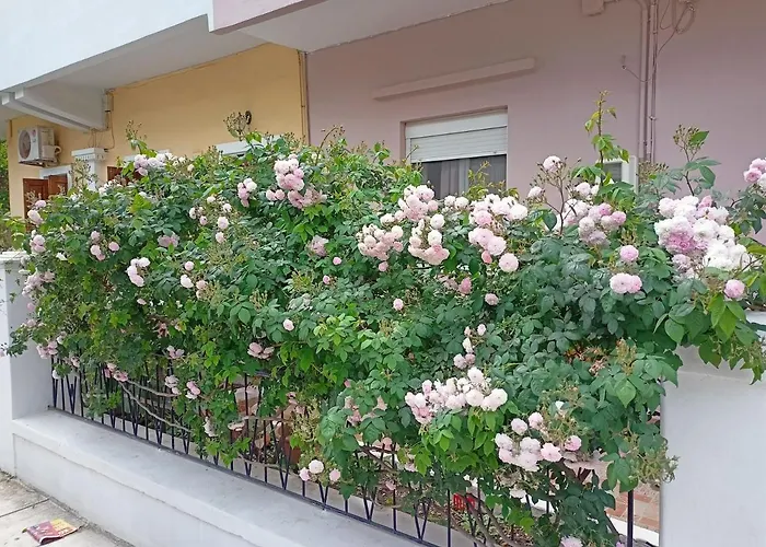 Family House Down Town